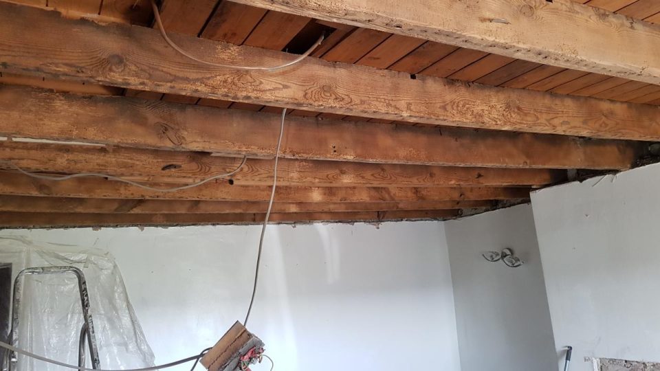 Strip-out: the tongue-and-groove panel ceiling removed to expose the cottage's original timber beams.
